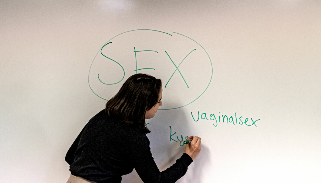 ”Barn och unga ska få en rimlig och bra bild av sex, man ska få det av skolan, inte av porrindustrin”, säger högskoleminister Matilda Ernkrans i SVT Morgonstudion.