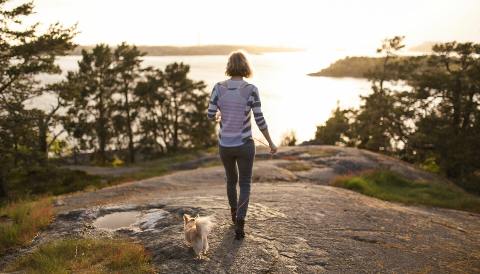 En förändring kräver tt dy lyssnar både på känsla och intellekt, säger Charlotte Sander. En förändring kräver tt dy lyssnar både på känsla och intellekt, säger Charlotte Sander.