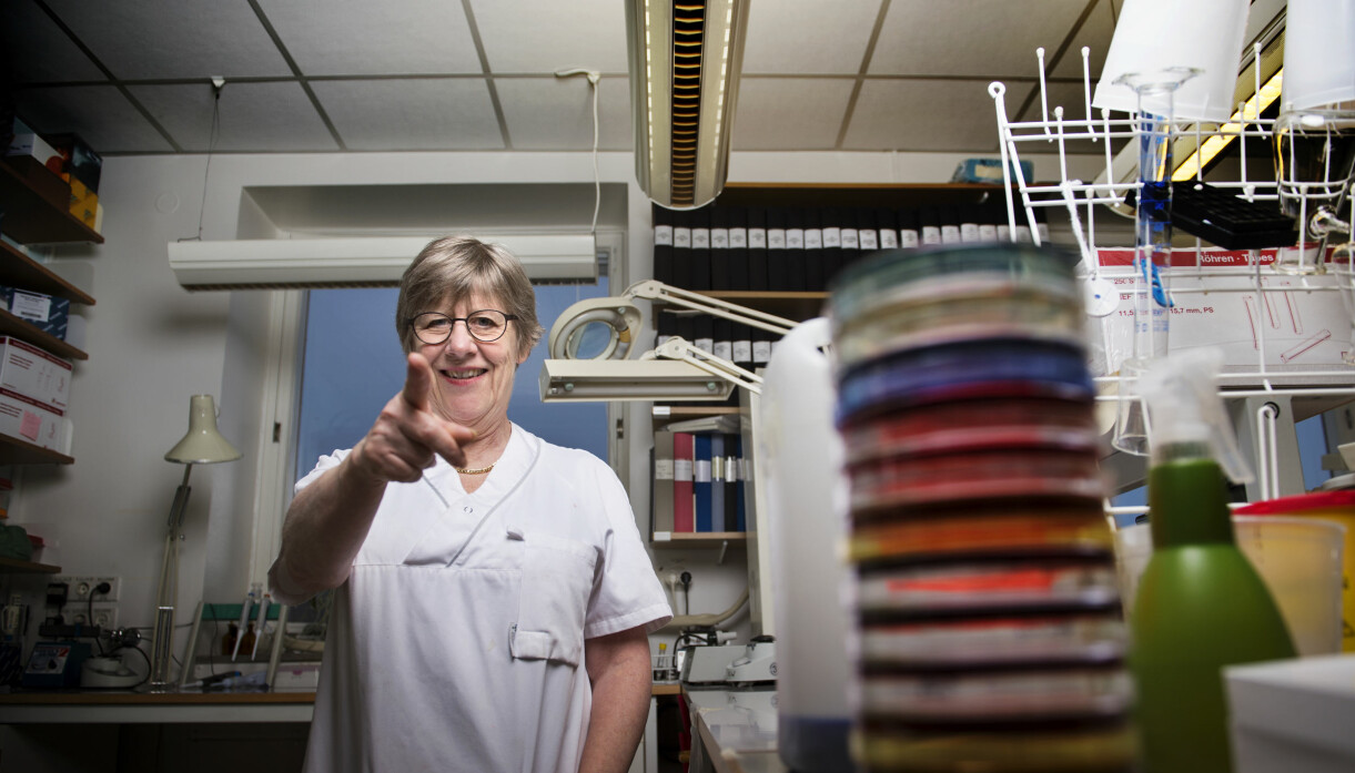 Agnes Wold är läkare och professor i klinisk bakteriologi. Agnes Wold, läkaren som blev känd under corona