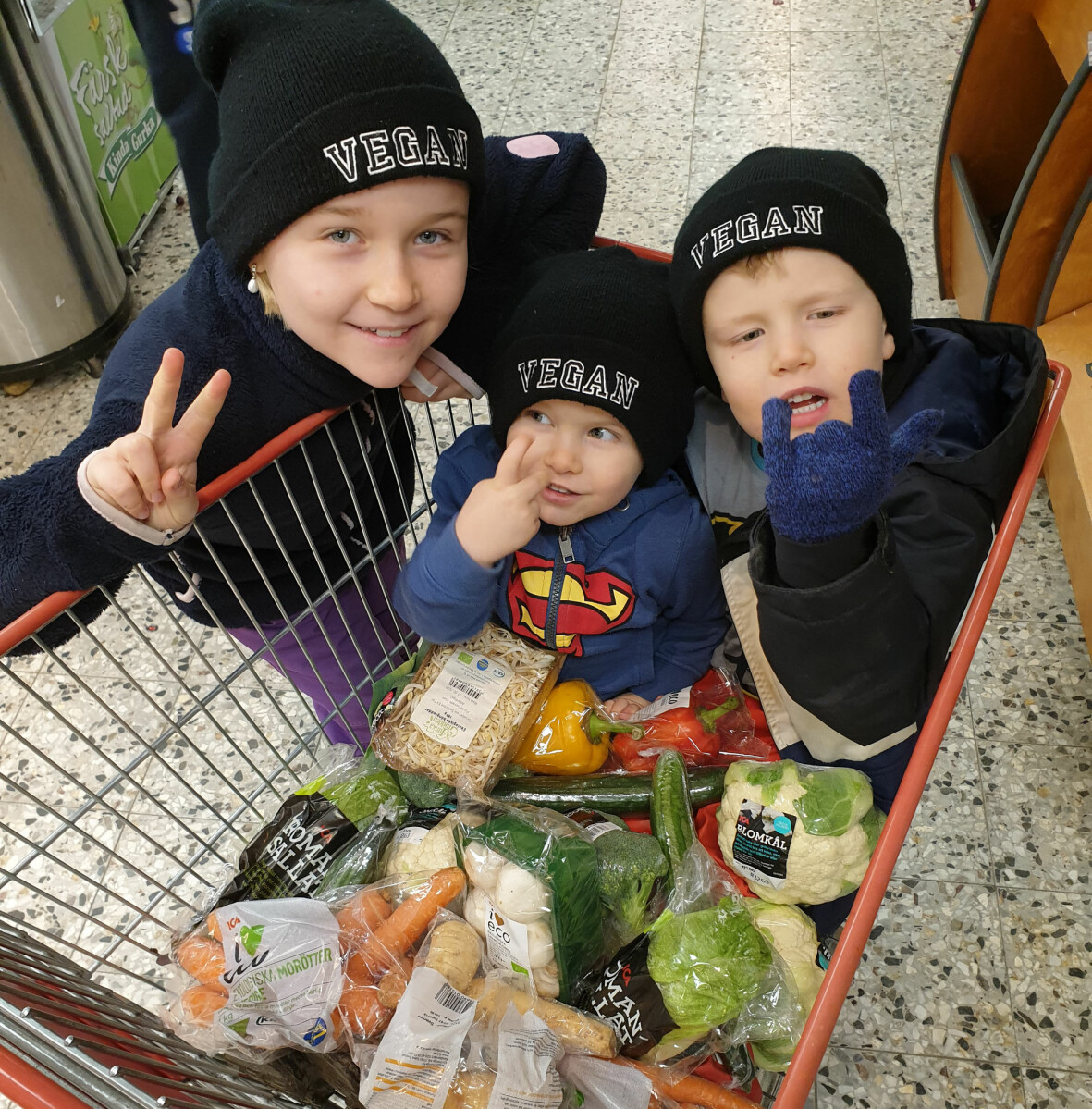 Sandra började med att läsa på om hur familjen skulle få i sig alla näringsämnen och vitaminer de behövde. Alva, Elvis och Vilde i handlingavagnen