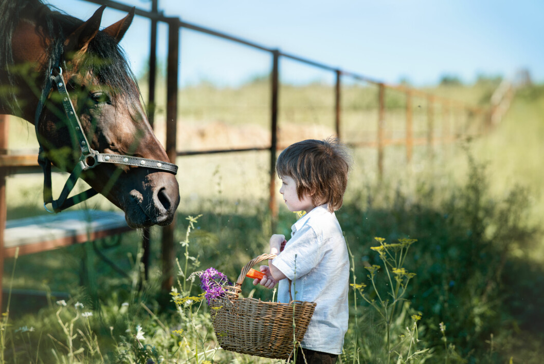 Har du en liten romantiker där hemma? Barn och häst