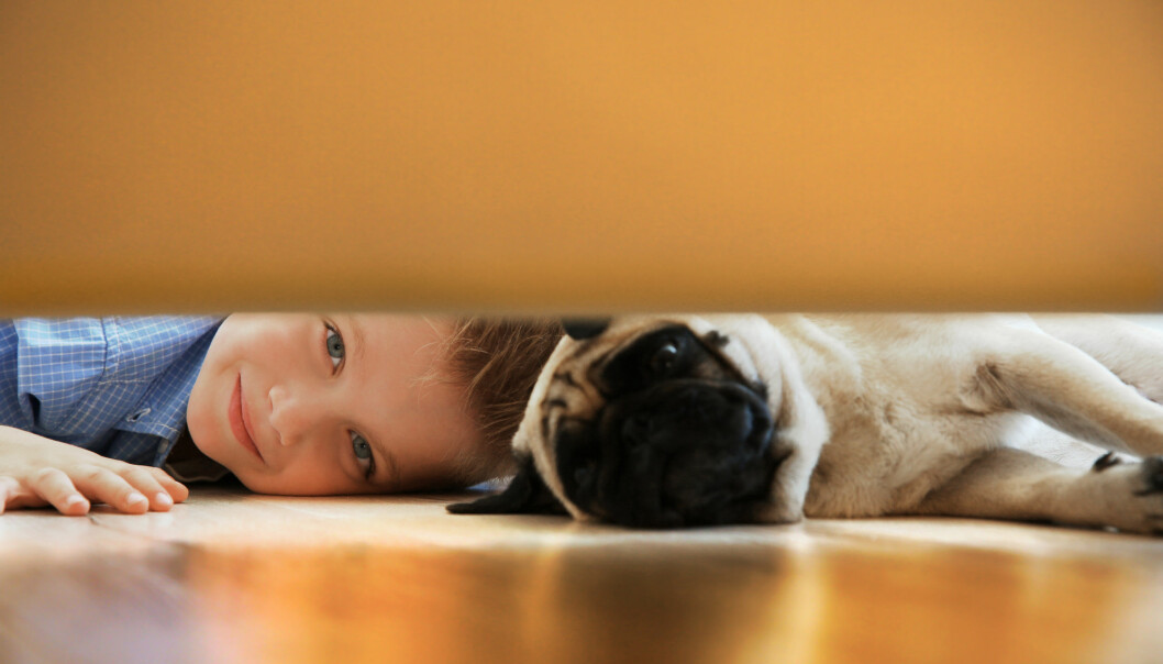 Mops och barn