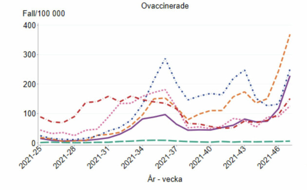Antal bekräftade fall per vecka och åldersgrupp per 100 000 invånare för ovaccinerade personer upp till 19 år, från vecka 25 2021 till och med aktuell rapportvecka, vecka 47 2021. Grafik: Folkhälsomyndigheten statistik fhm