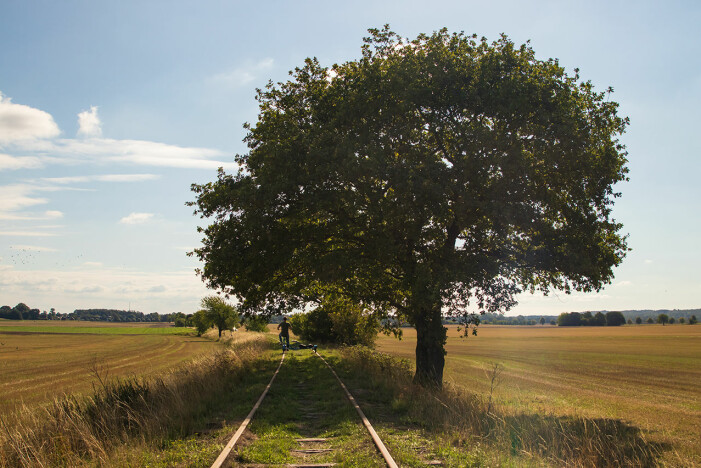Dressin i Skåne