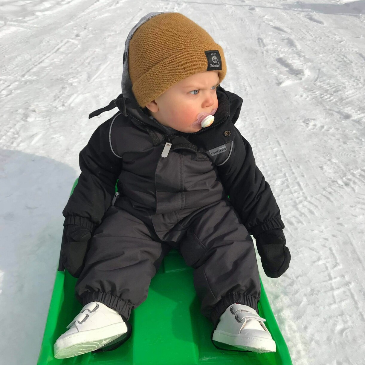 Idag har Edwin hunnit bli 3,5 år. Edwin i pulka