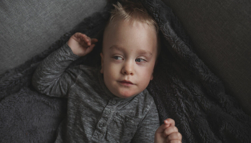 Läkarna trodde inte Elton skulle överleva, men han bevisade dem fel. Närbild på Elton som ligger i en grå soffa på en grå mjuk filt. Han har blåa ögon, blont hår, och tittar åt sidan.