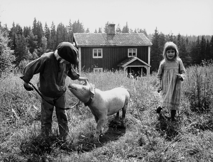 Foto: Tommy Svensson/TT Jan Ohlsson och Lena Wisborg tillsammans med Griseknoen.