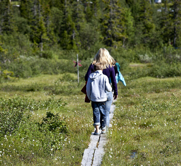 familj corona sommarlov aktiviteter semester med barn