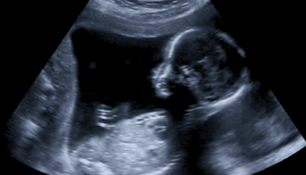 Vid kubtestet mäter man bland annat en del i fostrets nacke. Foster i magen på gravid