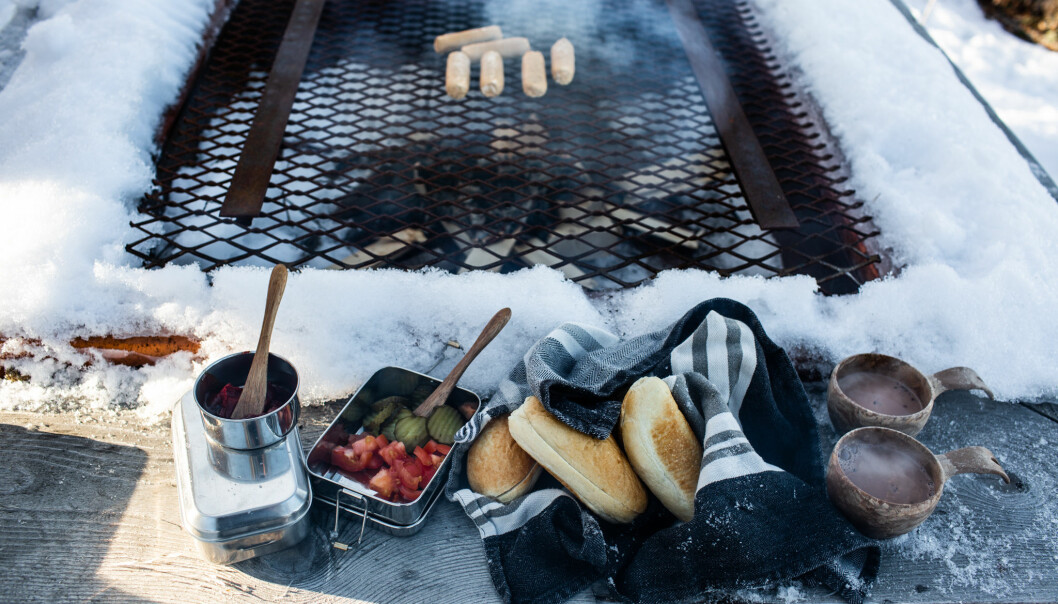 Familjen lagar alltid mat från grunden och förpackar köper inte till exempel mat förpackad i plast. Picknick hanna hervall zero waste