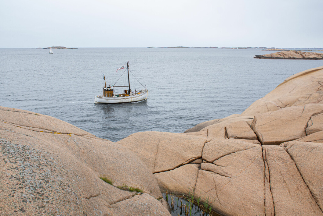Det fina namnet Marina betyder <em>hav</em> och <em>hamn</em>. sommar hav vatten klippor