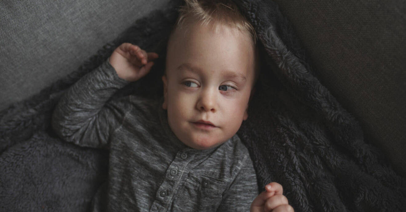 Närbild på Elton som ligger i en grå soffa på en grå mjuk filt. Han har blåa ögon, blont hår, och tittar åt sidan.