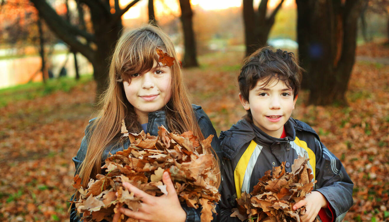 Barn som leker i skogen med löv