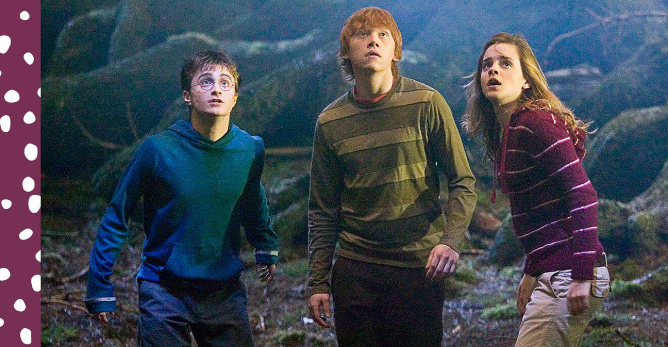 Harry Potter, Ron och Hermione