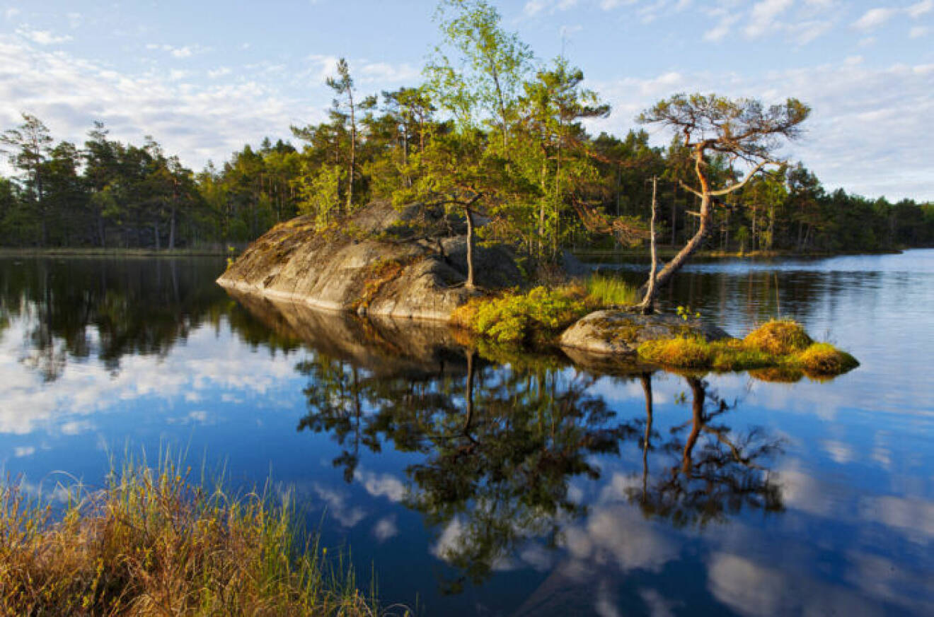 Tyresta National Park Outside Stockholm