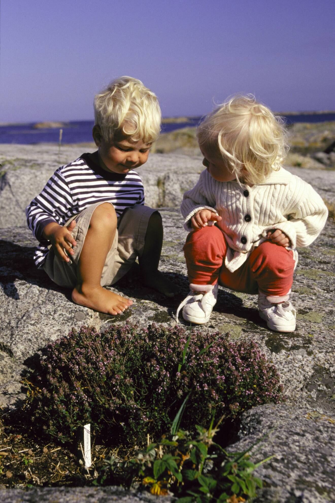 Två barn på en klippa