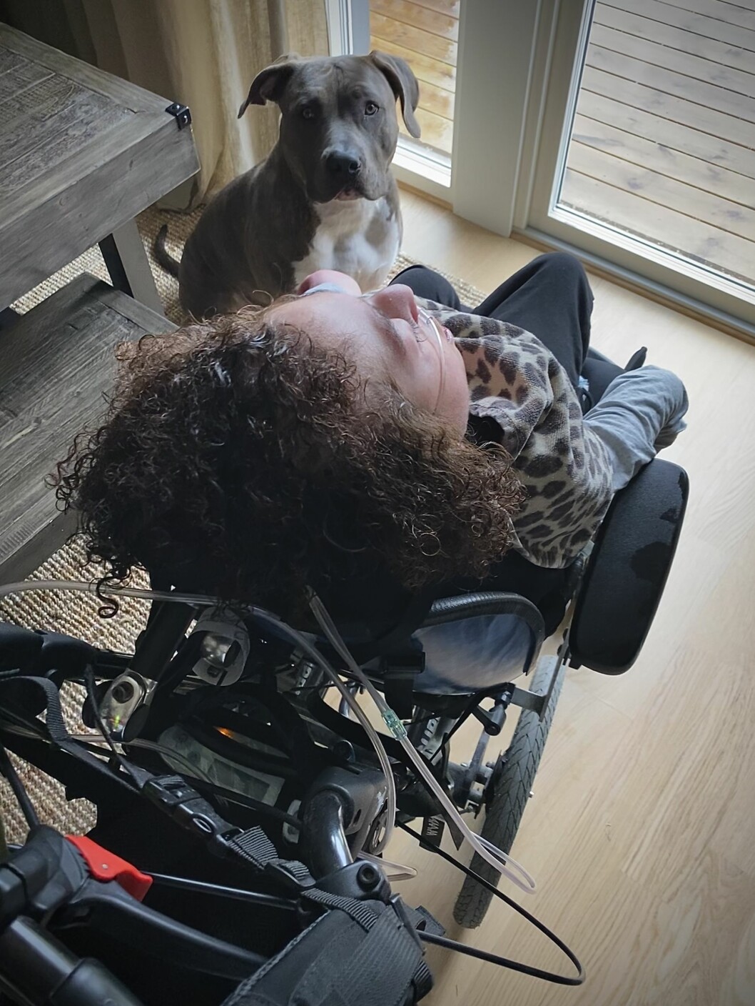 Det gav Fatima tröst att familjens hund var hemma med hennes son, första gången de gick ut utan honom häromdagen. isayah och familjens hund
