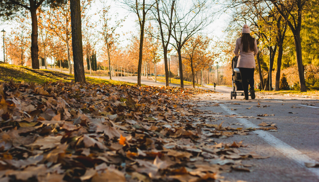 Genom att gå en promenad medan barnet sover får du egentid och samlar energi för resten av dagen. kvinna tar höstpromenad med barnvagn