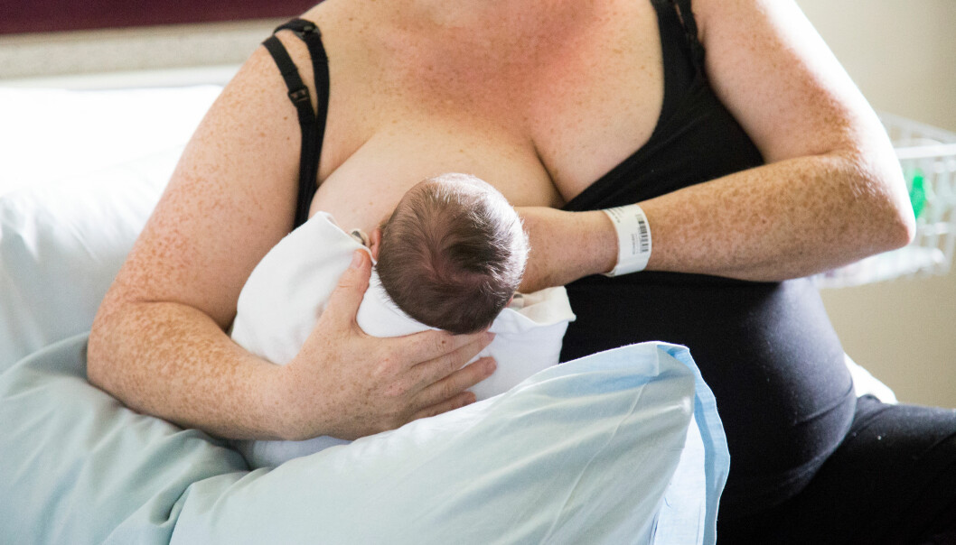 Det är bra att alltid rådgöra med en sköterska eller barnmorska på bvc innan man börjar med amningsnapp. Mamma på BB ammar nyfödd bebis.
