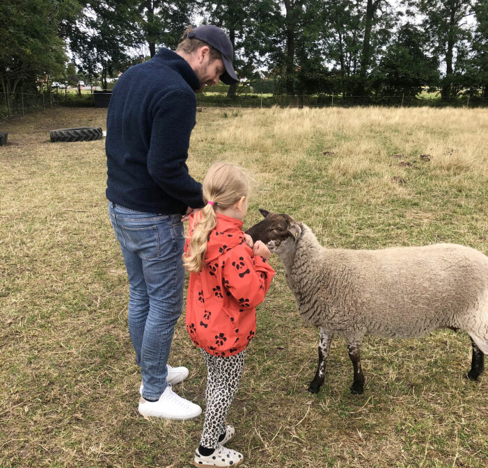 Familjen saknar inte storstaden. Bilköer, bristen på tid och mycket planering har bytts ut mot mer tid tillsammans. Här hälsar Mathias och Ingrid på får i en närliggande gård. Foto: Privat. Mathias och dottern Ingrid matar får.