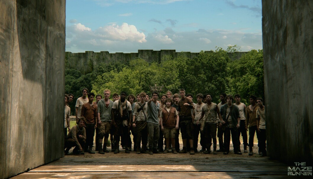 maze runner