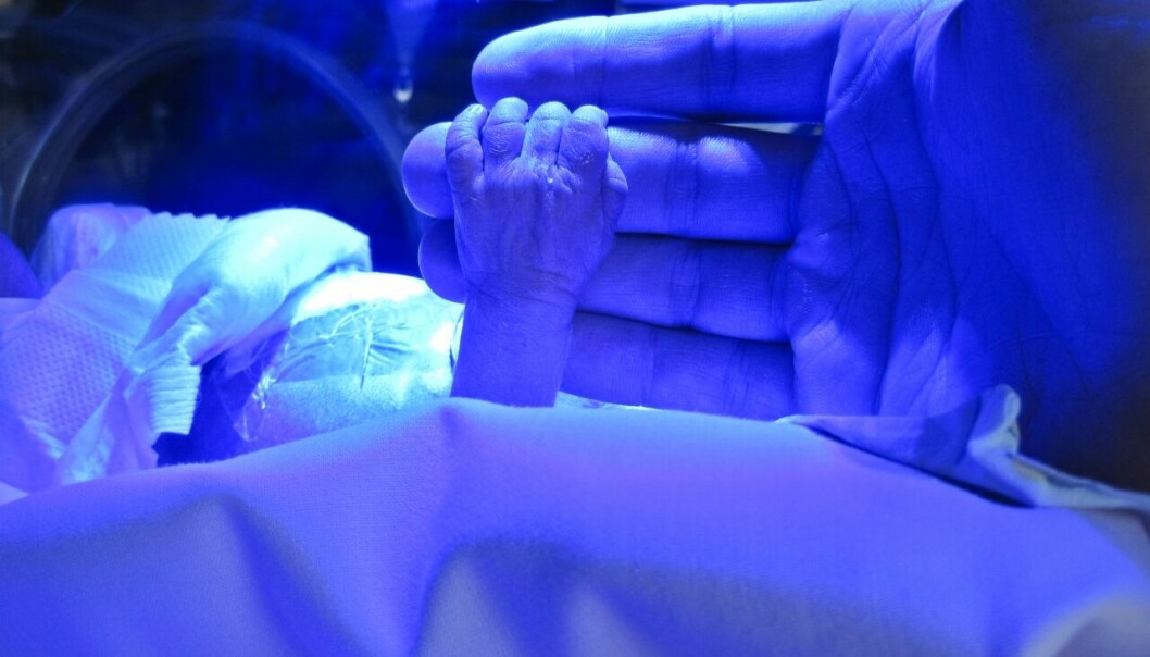 När Linns dotter Milea föddes i vecka 29, vägde hon lika mycket som ett mjölkpaket. En liten prematurbebis hand