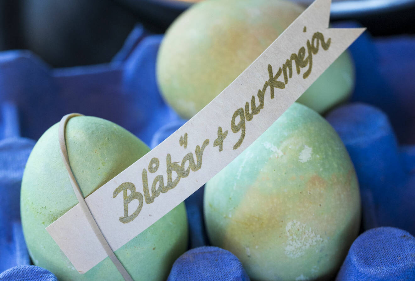 Ägg färgade med blåbär och gurkmeja som gett äggen en gul och blå, nästan grönaktig färg.