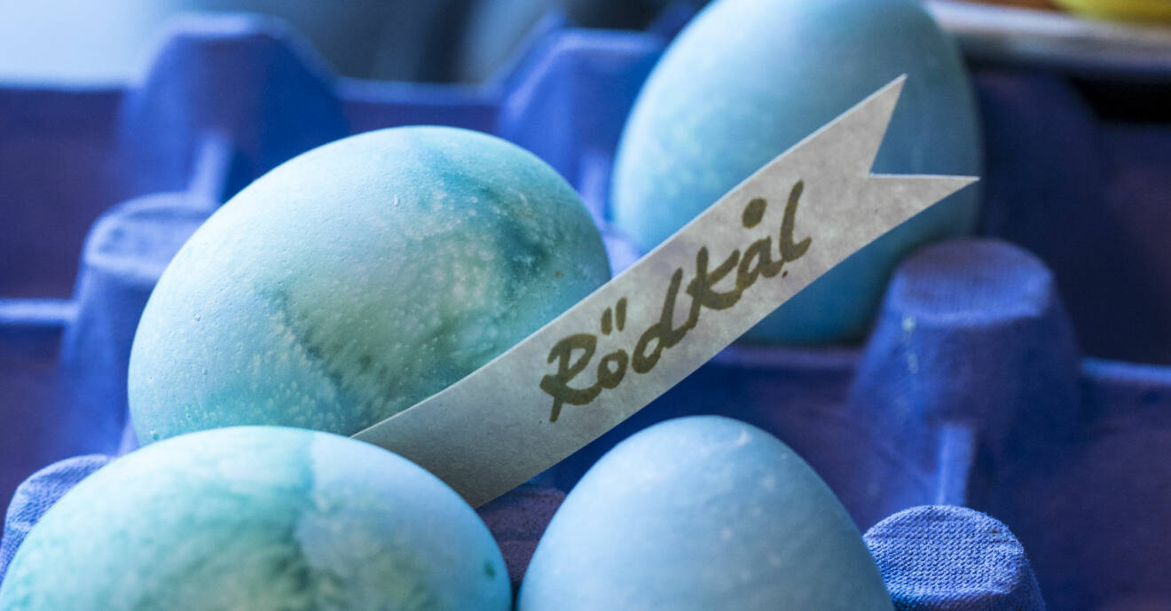 Att färga ägg med rödkål ger konstigt nog en intensivt blå färg.