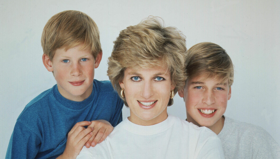 Prins Harry, mamma Diana och prins William 1995. Harry, prinsessan Diana prins William 1995
