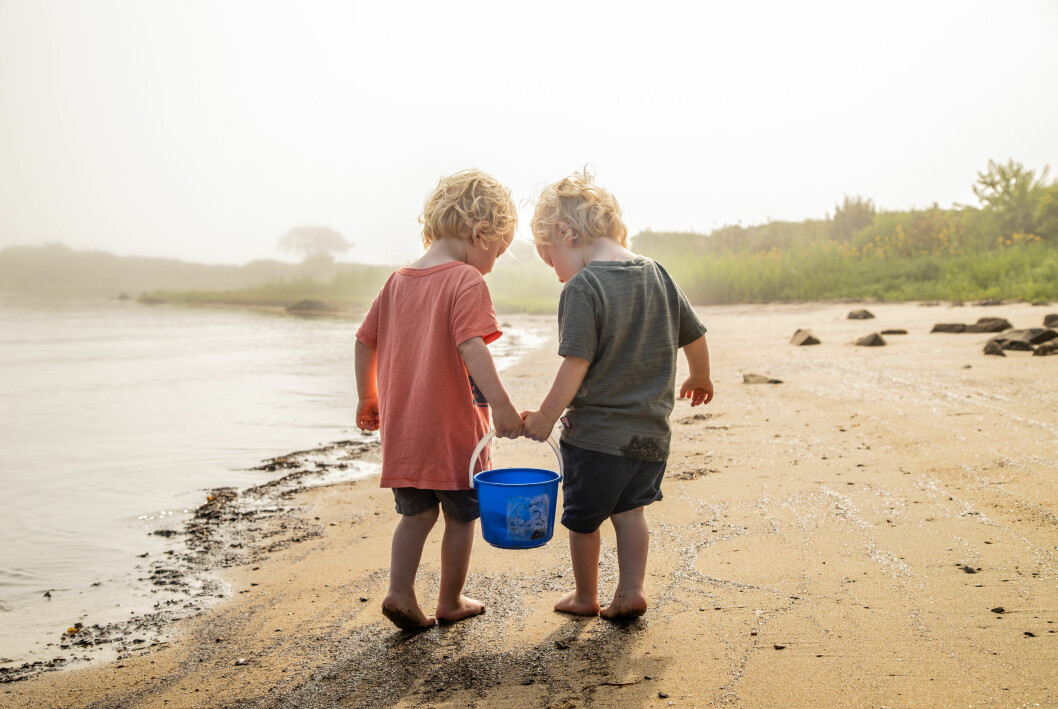 Den nysa studien visar att en del enäggstvillingpar har så kallade tidiga mutationer. tvillingpojkar på stranden