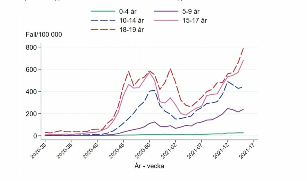 Incidens av bekräftade fall per vecka och åldersgrupp (fall per 100 000 invånare), för personer upp till 19 år, vecka 30 år 2020 till och med vecka 15, år 2021. Grafik: Folkhälsomyndigheten