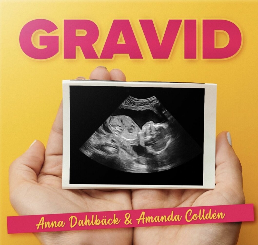 gravid podd