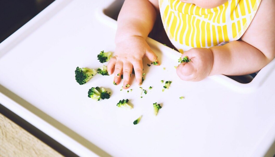 Små bitar av kokta grönsaker är perfekt för din bebis att börja med. bebis äter broccoli