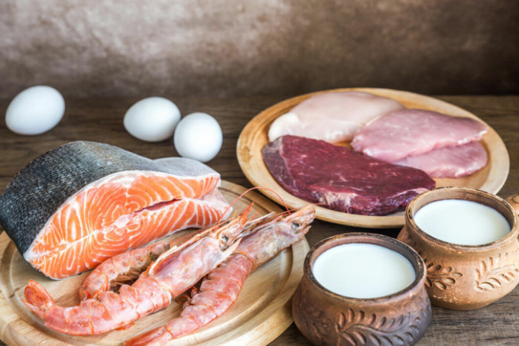 protein fisk ägg och kött