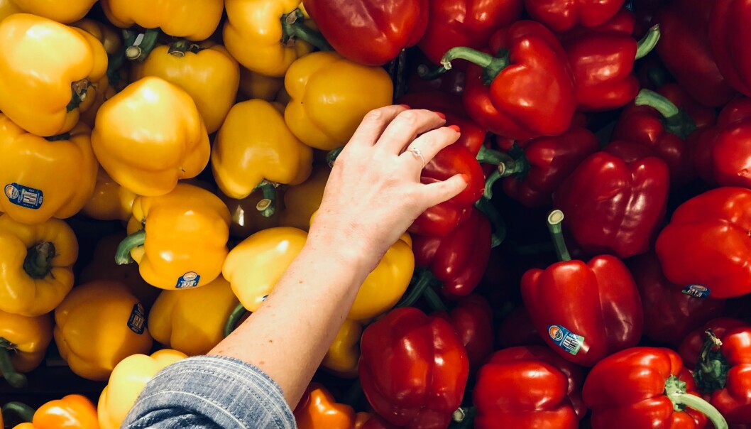 Börja med att läsa på och planera tillsamman, tipsar Julia Backlund. Vegetarisk mat