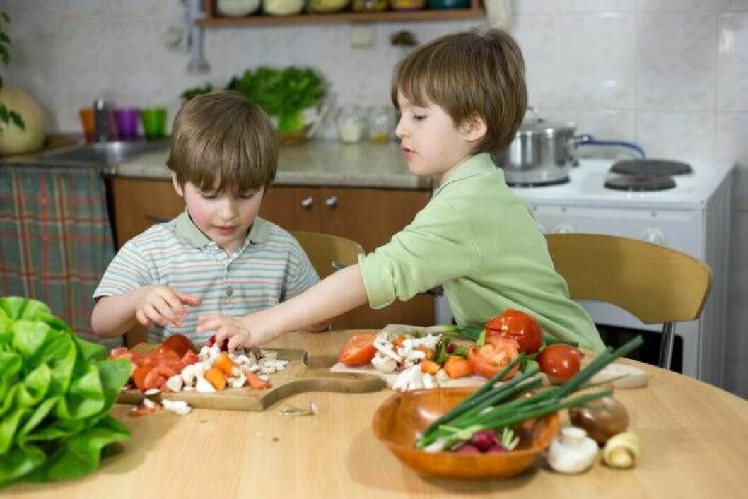 Det går bra att ge barn veganmat så länge den är genomtänkt. Det går bra att ge barn veganmat så länge den är genomtänkt.